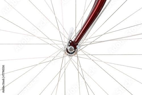 Spokes of a front bicycle wheel