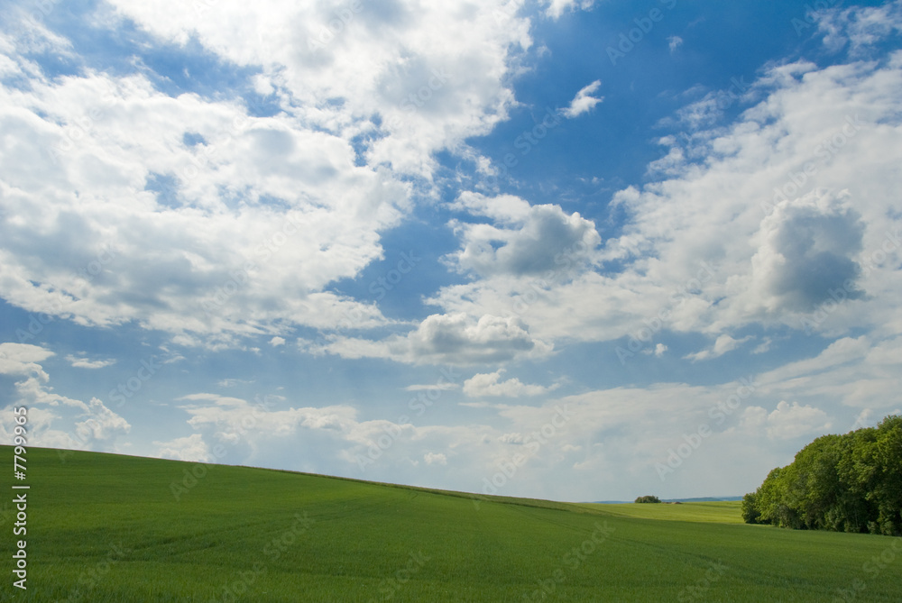 paysage champêtre