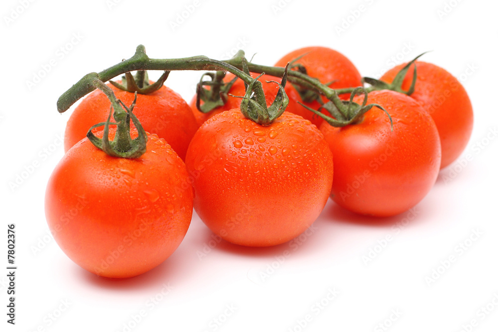 Seven tomatoes with drops