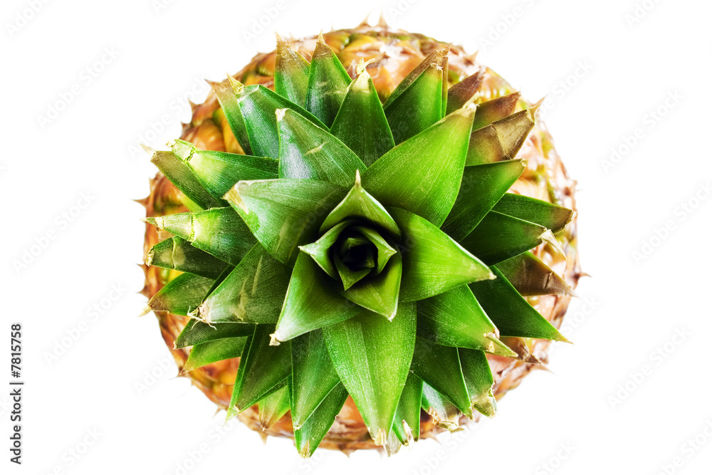Pineapple isolated on white Pineapple isolated on white