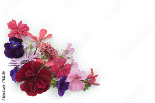 loral background design element of various flowers