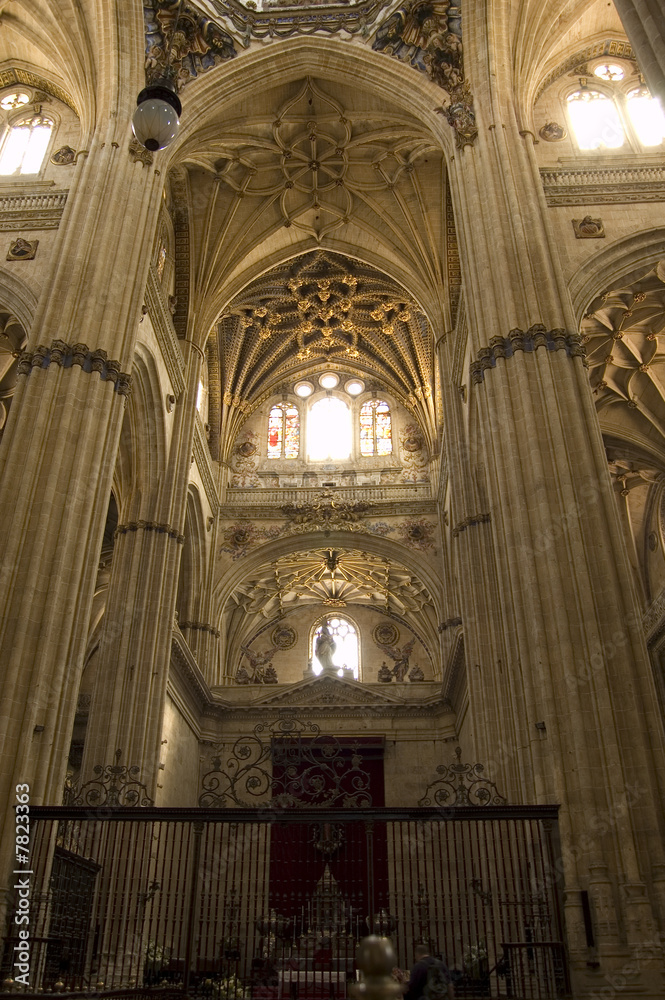 Transept of the New Cathedral of Salamanca. Spain