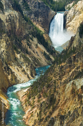 The lower fall  Yellowstone National Park  wyoming