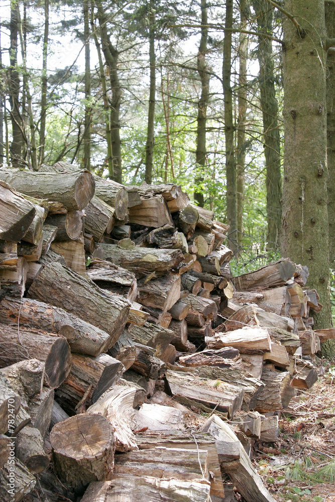 stack of wood stack of wood