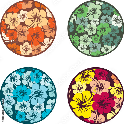 Hibiscus flower backgrounds