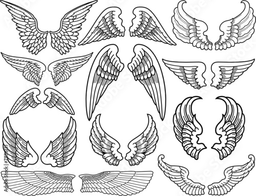 Twelve Sets of Black and White Angel Wings