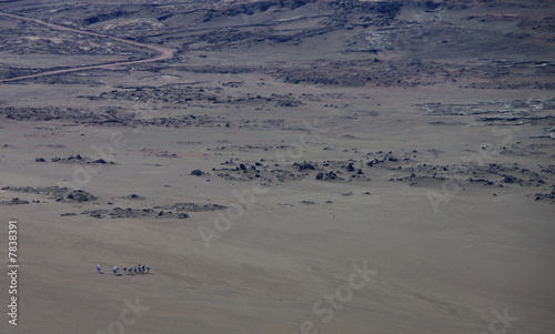 plaine des sables