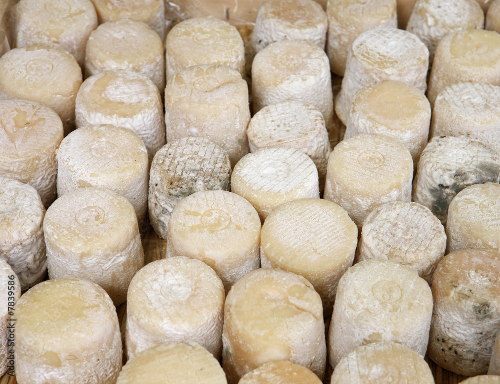 fromage de chevre