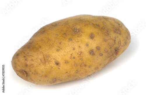 one potato on white background