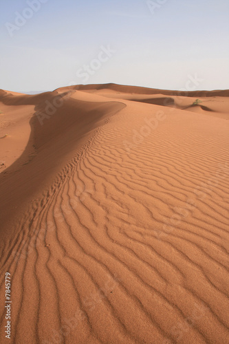 Sahara marocain