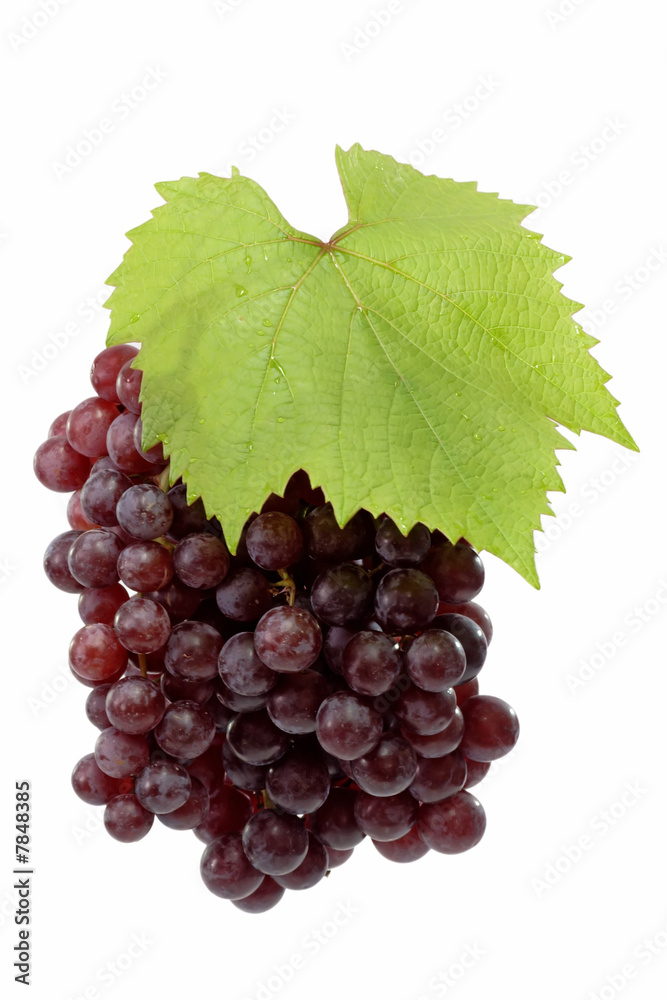 Fototapeta premium Schmackhaft