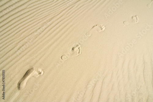 Bild auf Leinwand the footprint in sand