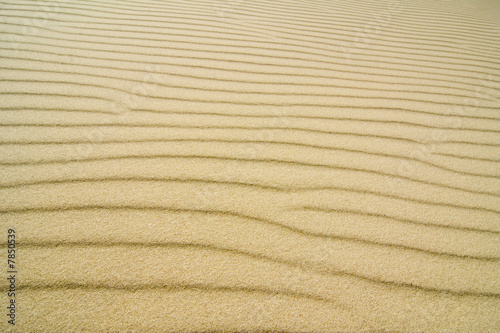 Принти на полотні the sand structure