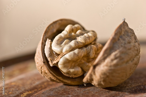 Canvas Print nut
