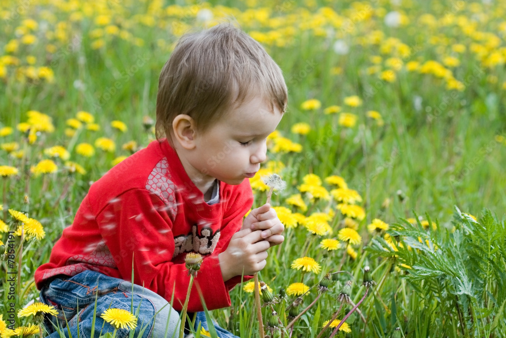 Young boy blowing seeds of a dandelion flower Young boy blowing seeds of a dandelion flower