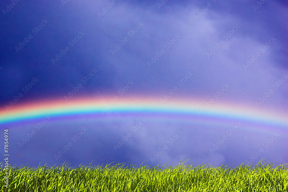 Naklejka premium Fresh grass and sky with rainbow