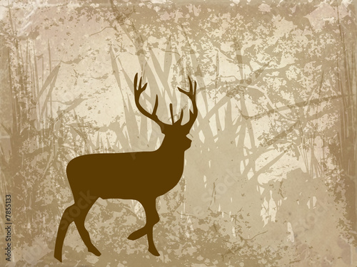 red deer