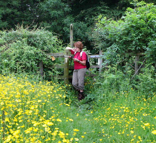 Lady Hiker Reading a Map in a field of Buttercups