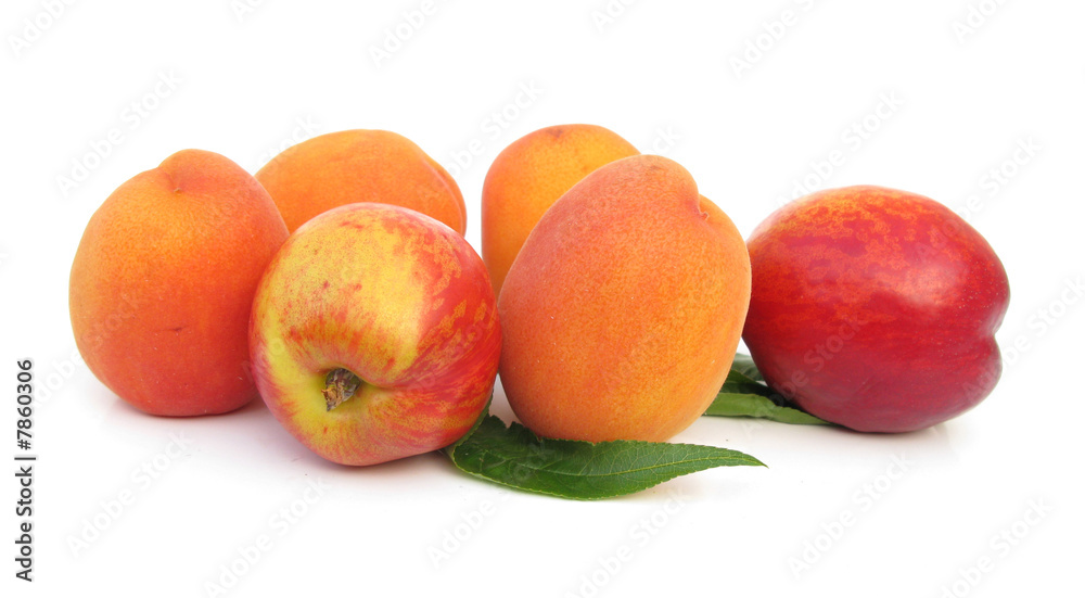 Apricots and nectarines isolated on white background Apricots and nectarines isolated on white background