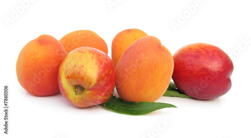 Apricots and nectarines isolated on white background