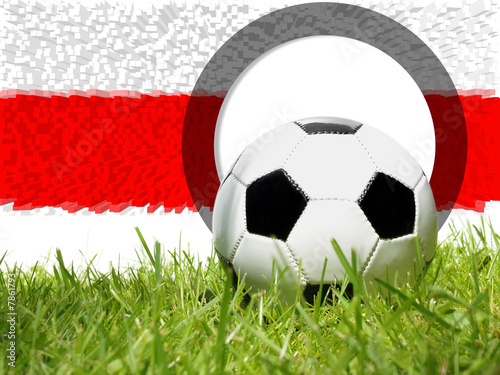 Fussball - Fahne   Polen