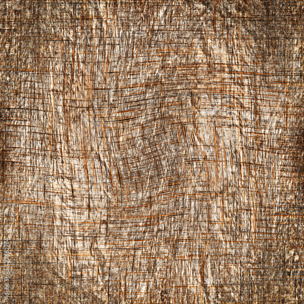 Fototapeta premium bark texture