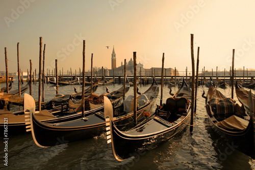 Venice gondolas © Julia Shepeleva