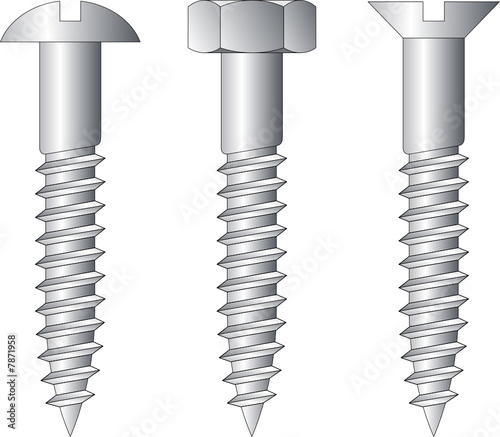 Vector illustration of three different screws