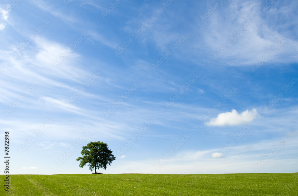 paysage classique paysage classique