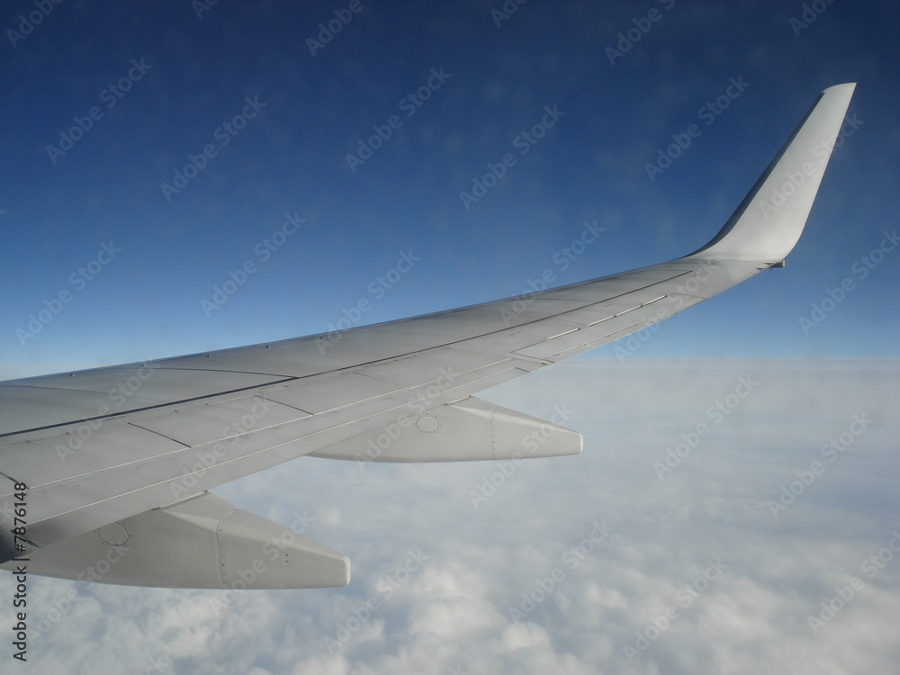 wing wing