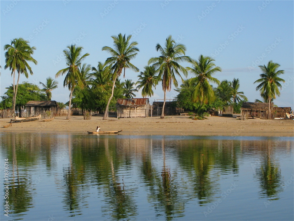 Cocotiers, Madagascar.