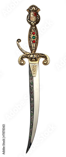 Canvas-taulu Spanish Dagger