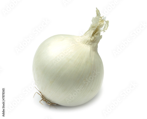 White Onion