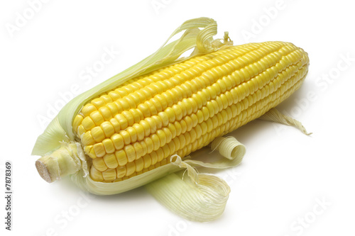 Corn on the cob photo