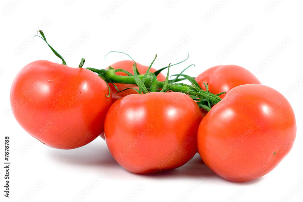 Fresh tomatoes  isolated on a white background.