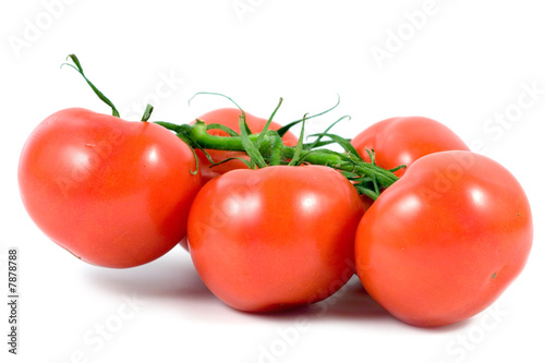 Fresh tomatoes  isolated on a white background.