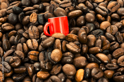 red noggin ang coffee-beans