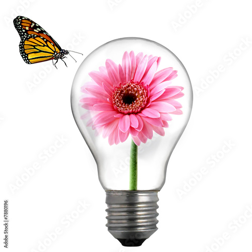 flower in the light bulb