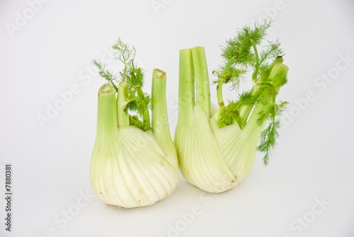 Fennel