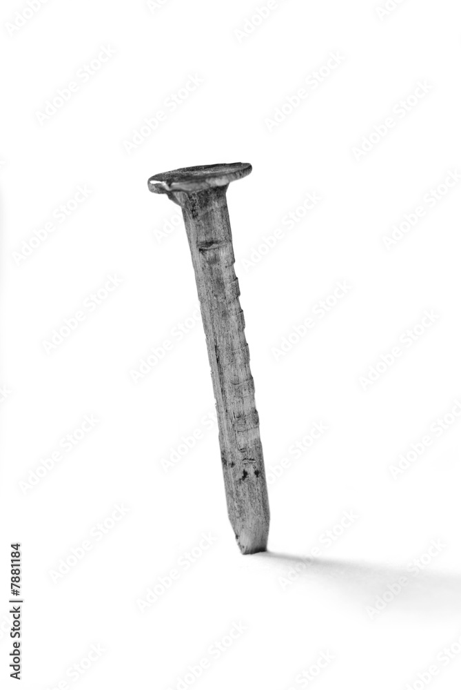 nail nail
