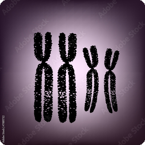 gene
