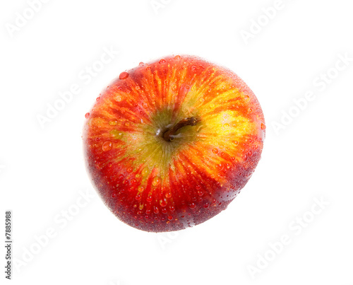 Fresh wet apple on white background