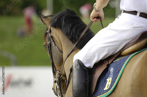 saut d'obstacle