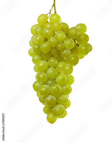 white grapes