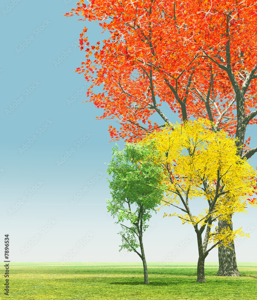 Fototapeta premium Autumn trees
