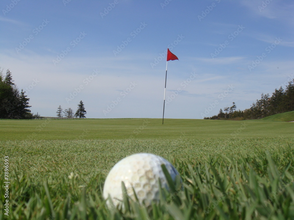 Obraz premium Golf ball waiting to be putted