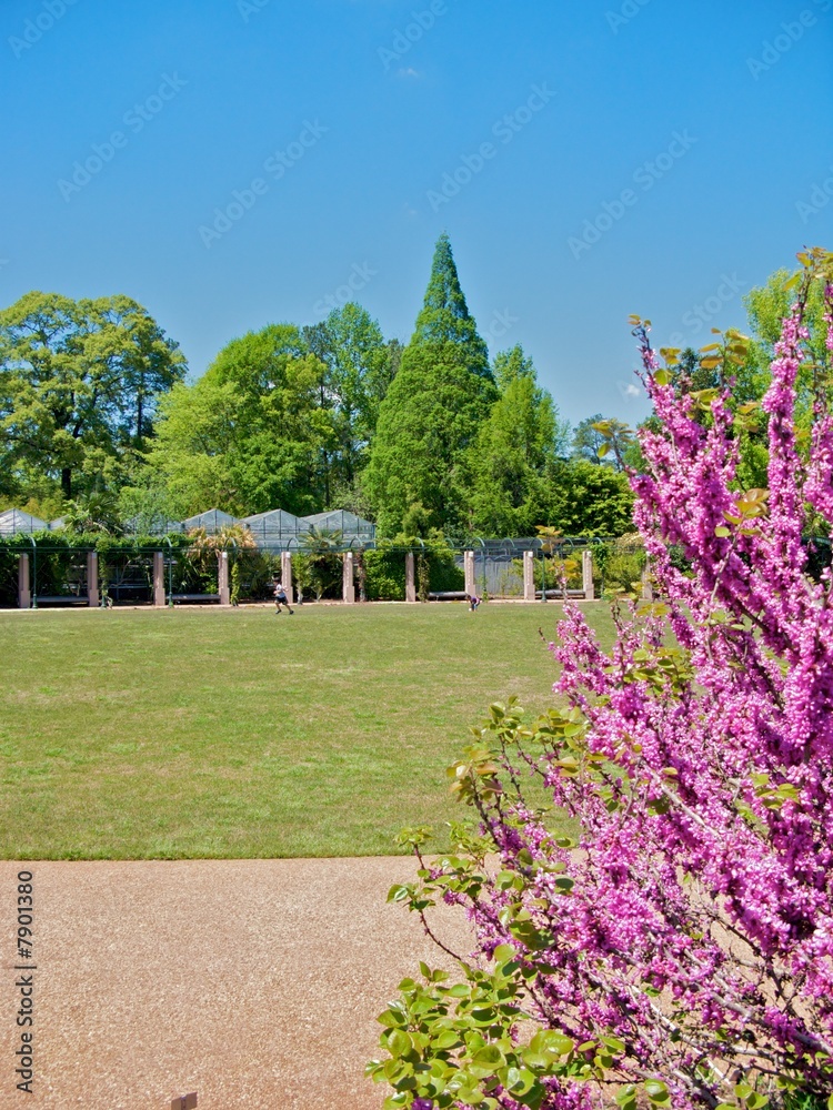 Atlanta Botanical Garden in Springtime