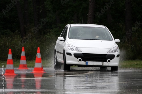 Tableau sur toile slalom sur piste 3