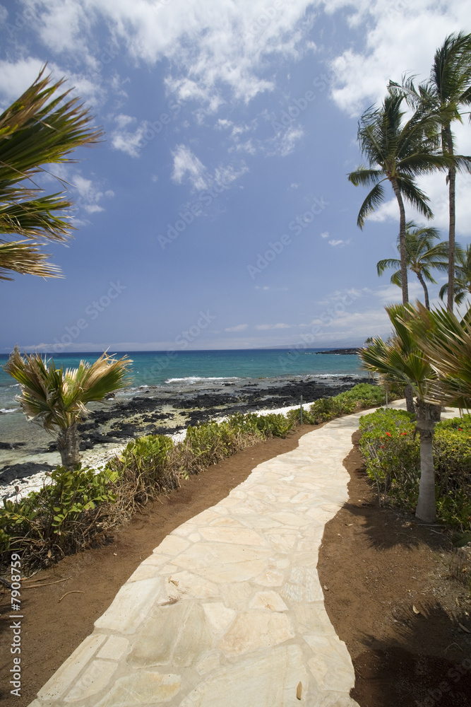 Hawaiian Walkway