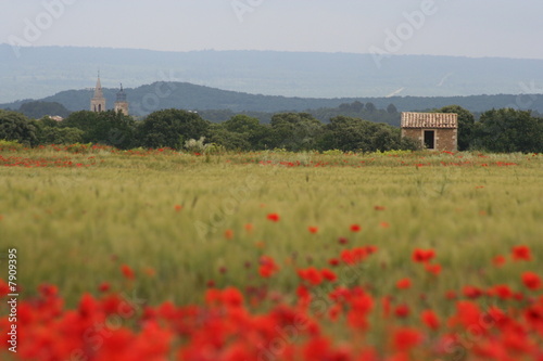 le petit cabanon